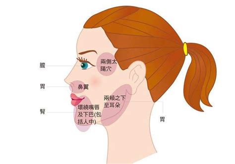 痘痘部位代表|长痘痘位置图解，不同位置长痘痘反应出身体不同状况